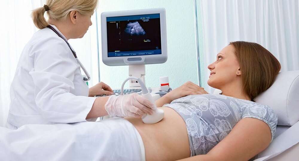 early pregnancy scan